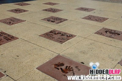 placedesstars2